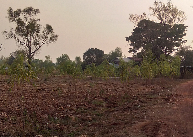 1509131527_gongfarm01.png.0432f118a14e4561e4f194fc23b55981.png