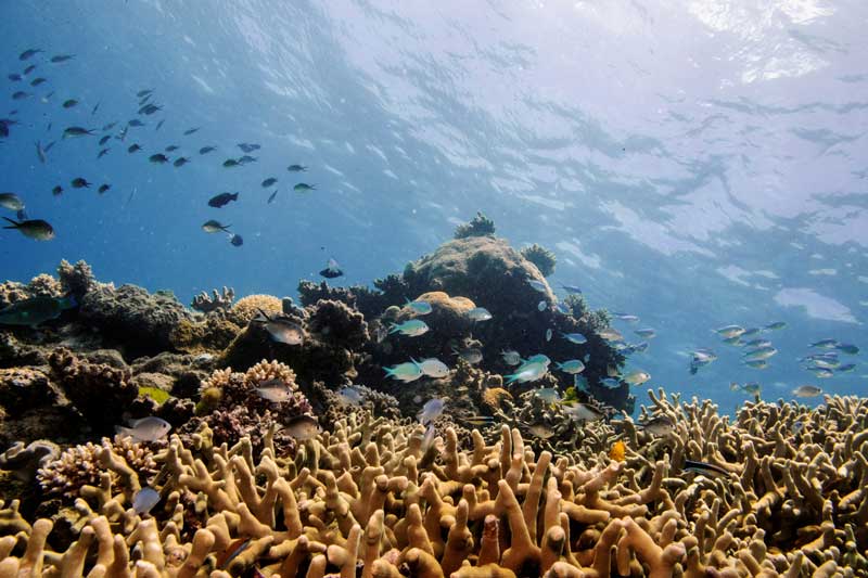 2021-02-04T190802Z_1_LYNXMPEH131L4_RTROPTP_4_GLOBAL-OCEANS-NOISE.JPG