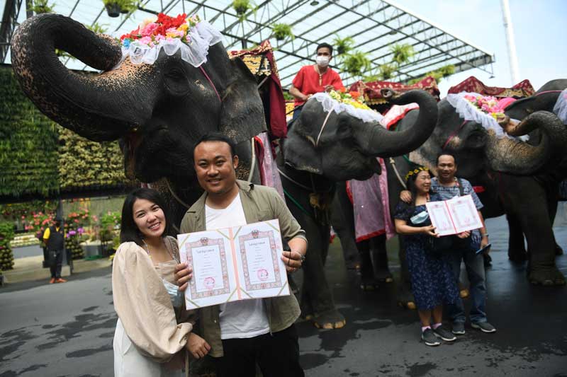 2021-02-14T111236Z_1_LYNXMPEH1D0A6_RTROPTP_4_VALENTINES-DAY-THAILAND-ELEPHANTS.JPG
