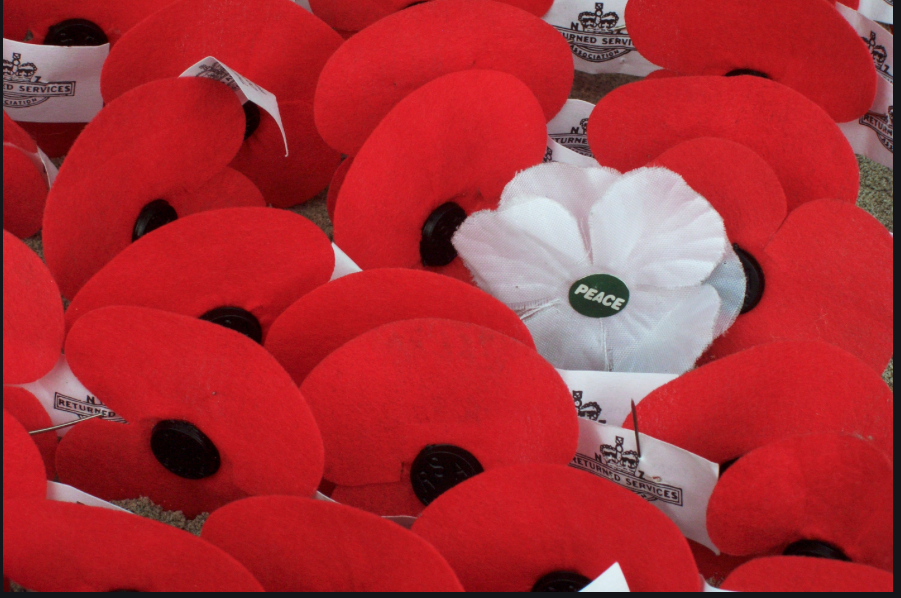 2051983809_peacepoppy.png.e0926e51361996c574877938e49b5ff7.png