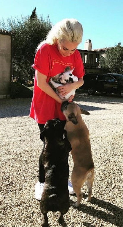 39758732-9302991-Gaga_is_pictured_above_with_her_beloved_dogs_Koji_Miss_Asia_and_-a-179_1614333439427.jpg