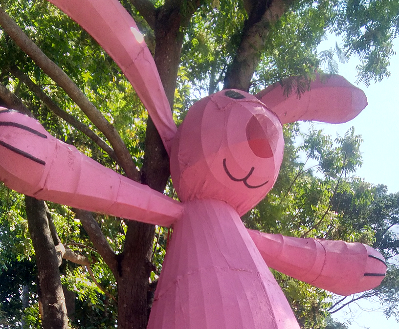 469003977_buddhabunny01.png.7193b0cd99e0d495da62f26526bdec53.png