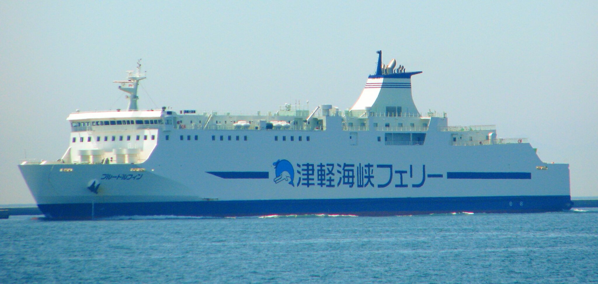 644863198_2016BLUEDOLPHIN-b.thumb.jpg.ca454ee8c4c8e158b7ee437847d939f0.jpg