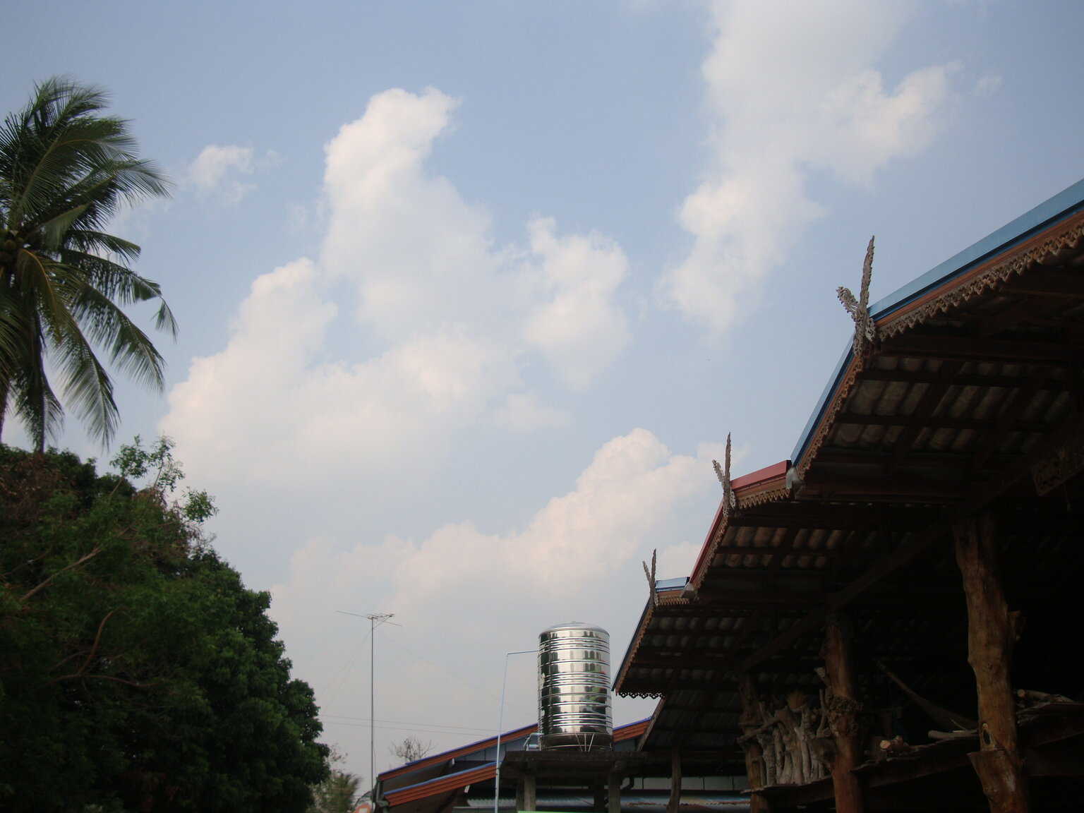 DSC02143.thumb.JPG.76a7b817fbd74d75a31b012c665f6122.JPG