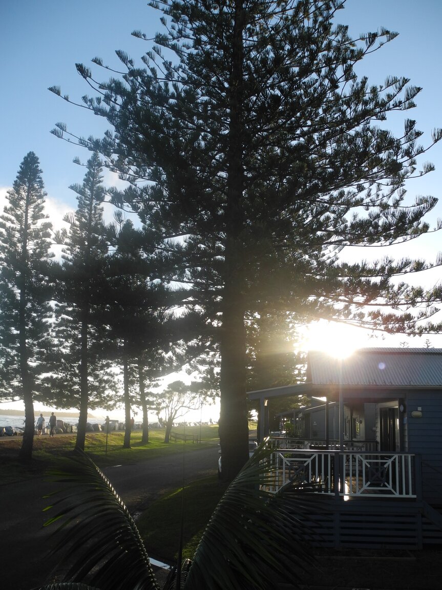 DSCN1057.JPG