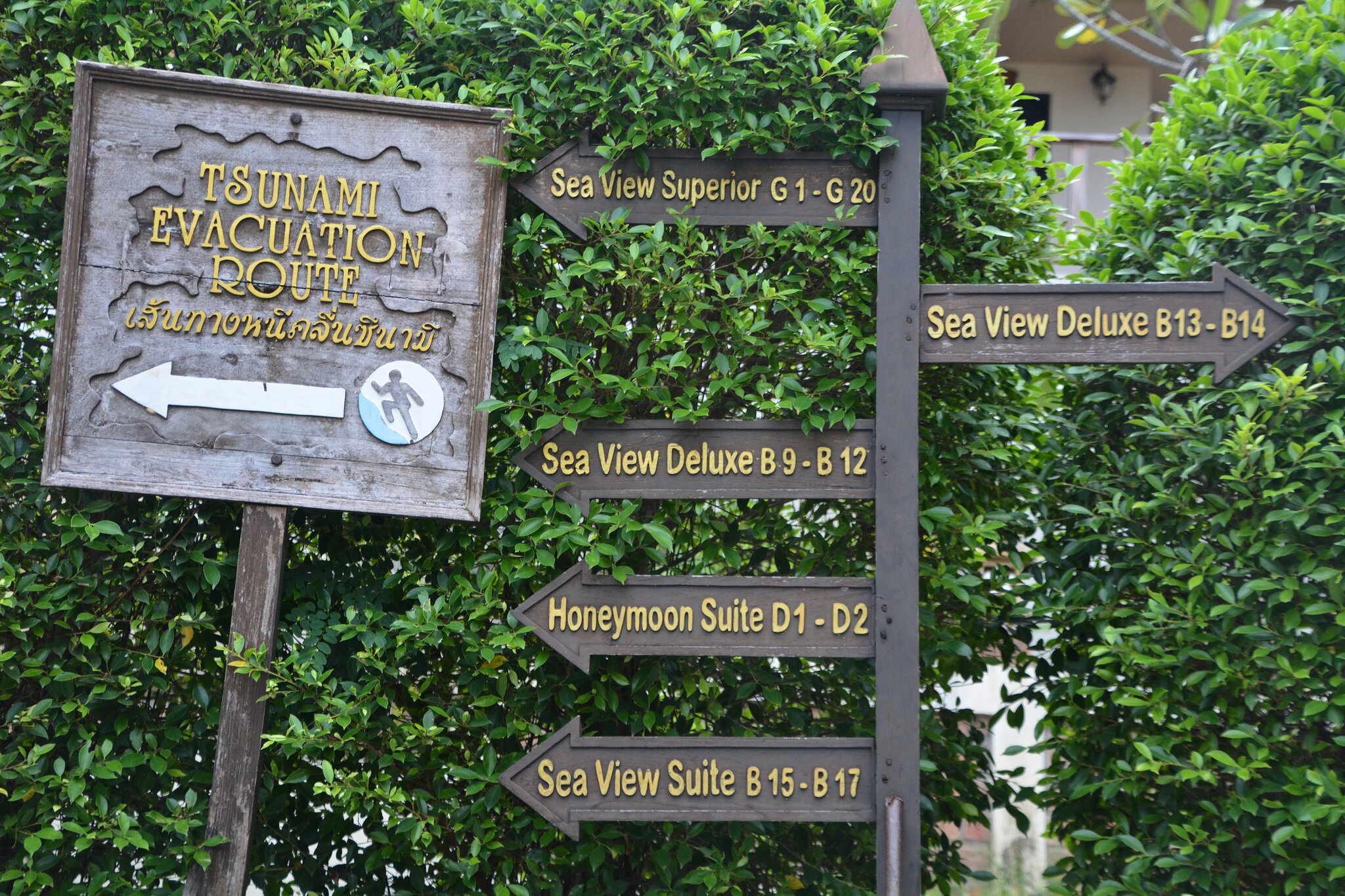 DSC_2158ps.jpg
