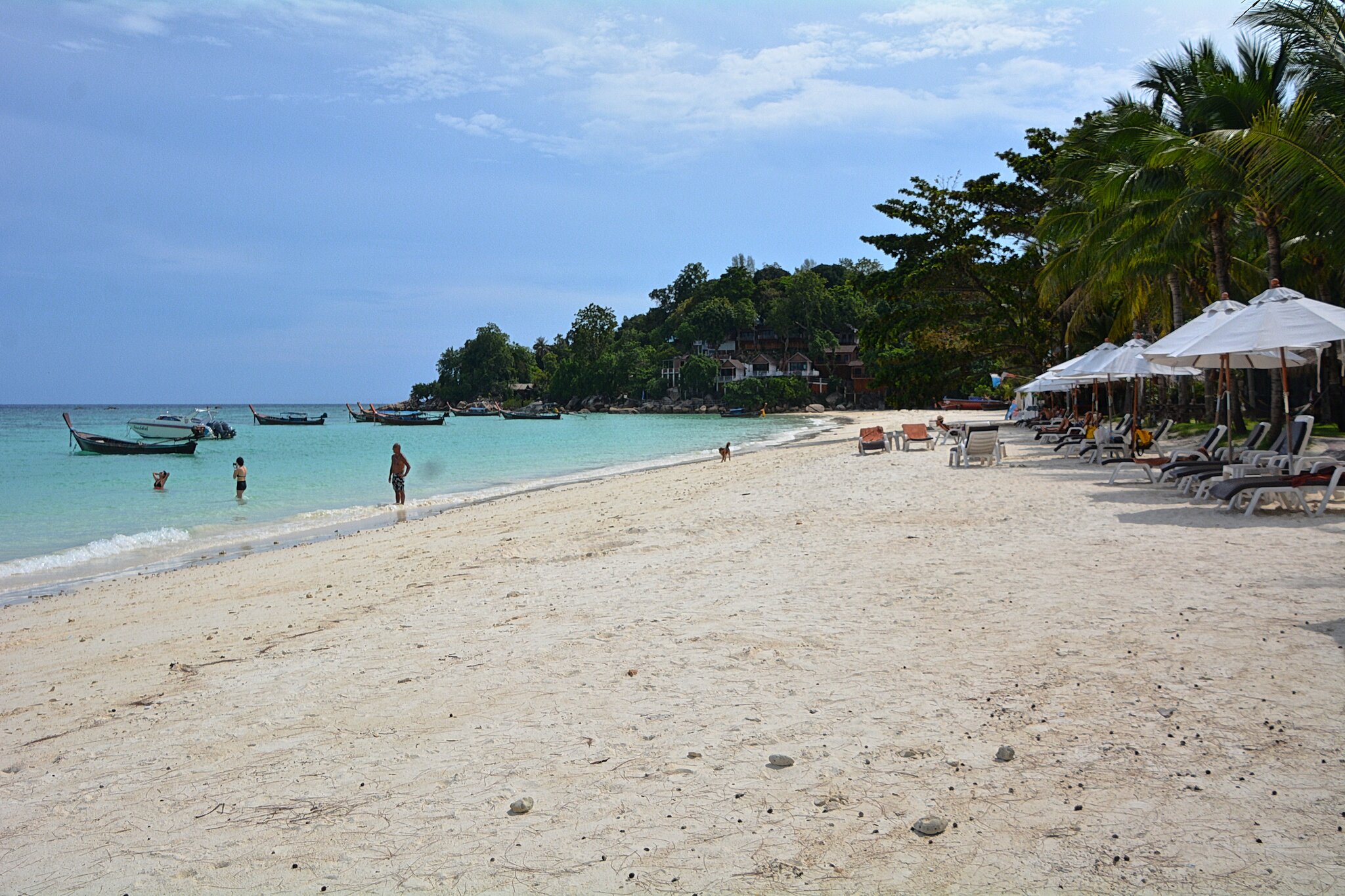DSC_2163ps.jpg