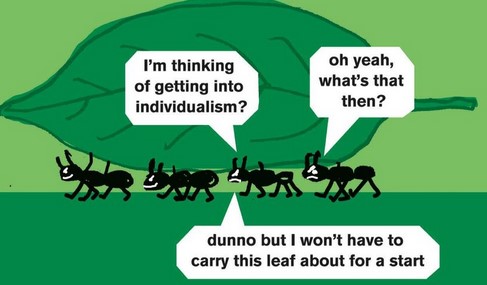 Individualism.jpg.6be7f63b8e68bf33411ee773ac5ae30a.jpg