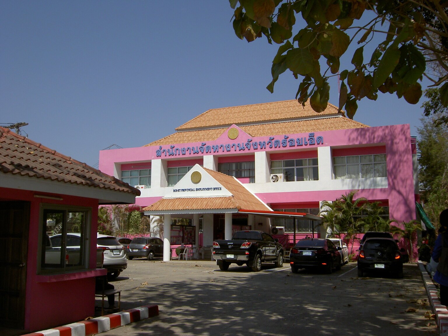 PICT3506.JPG