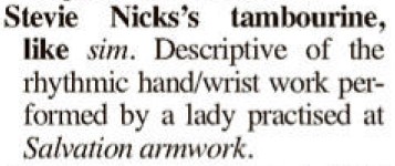 StevieNicksTAmborine.jpg.c0991368adba5b62e8f65216ac9ad8fe.jpg