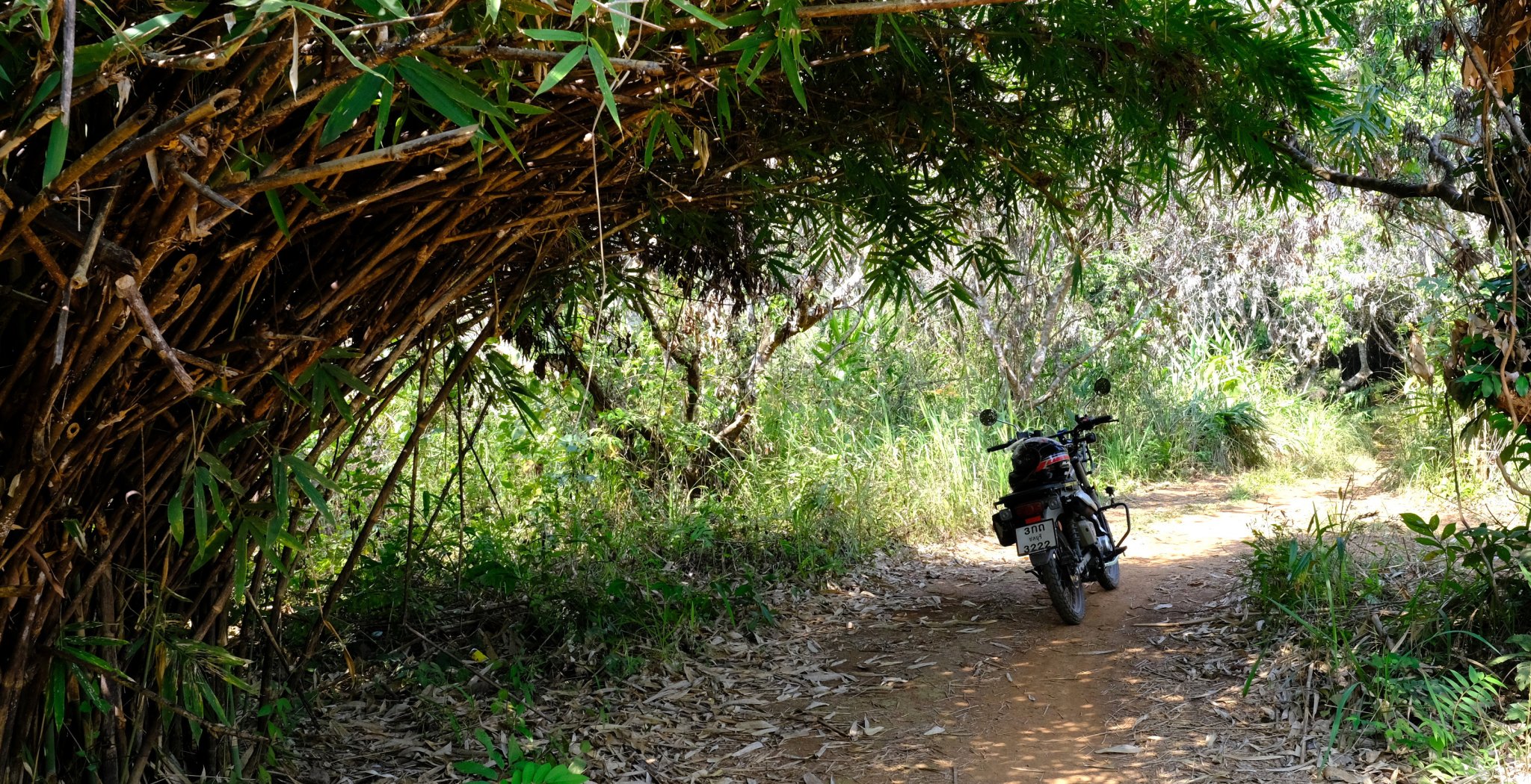 1-1-DSCF1020.JPG