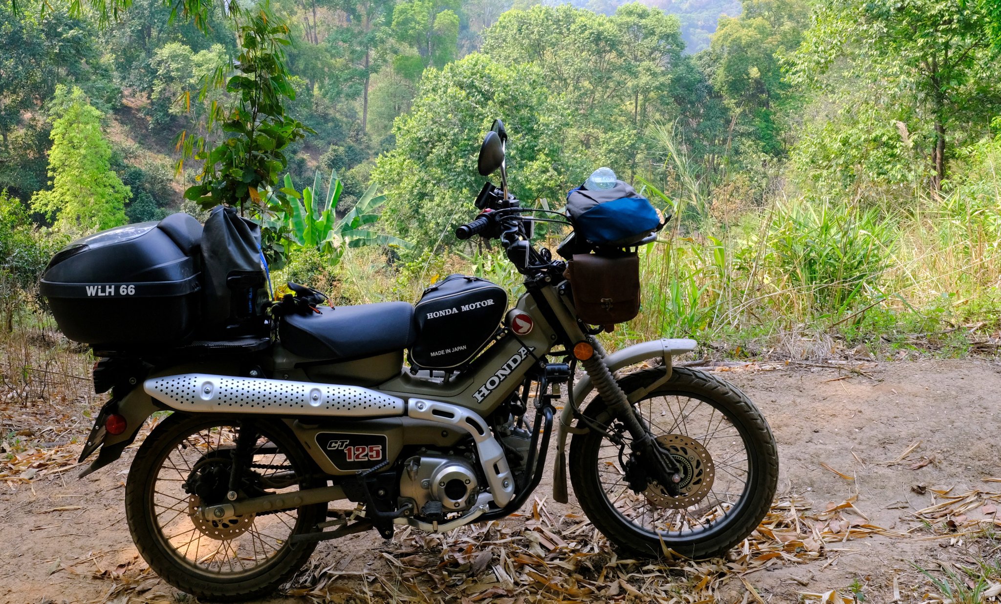 1-1-DSCF1151.JPG