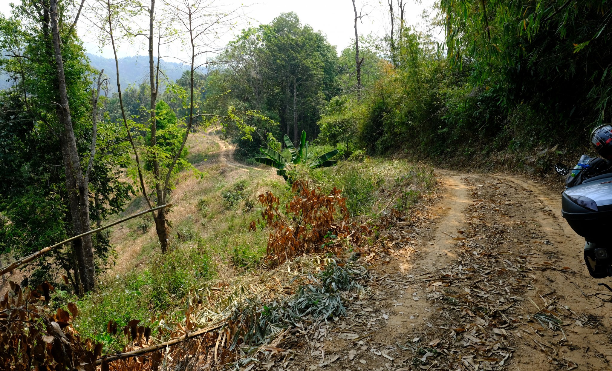 1-1-DSCF1164.JPG