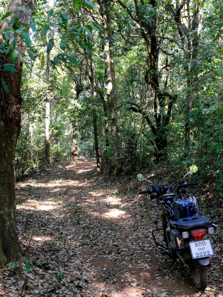 1-1-DSCF1171.JPG