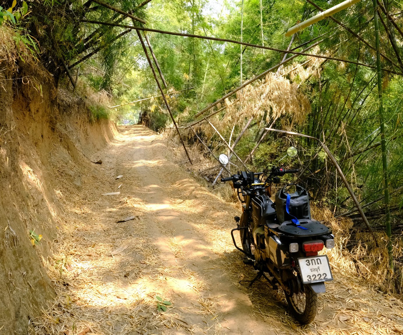 1-1-DSCF1242.JPG