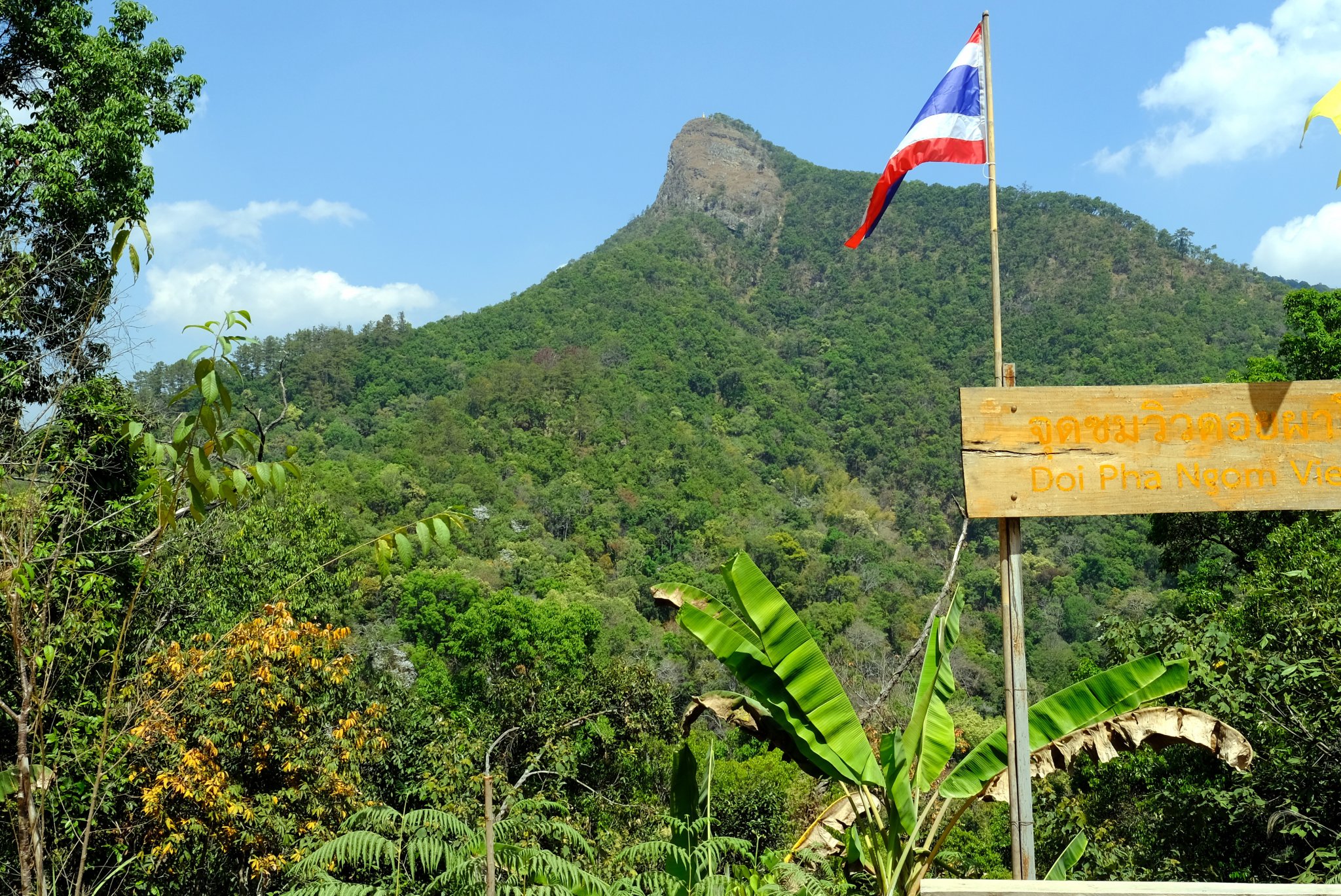 1-1-DSCF1313.JPG