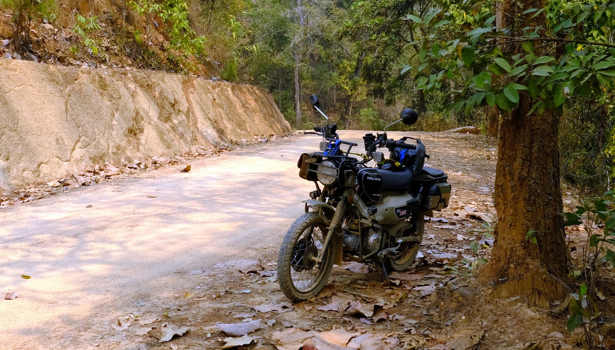 1-1-DSCF1493.JPG