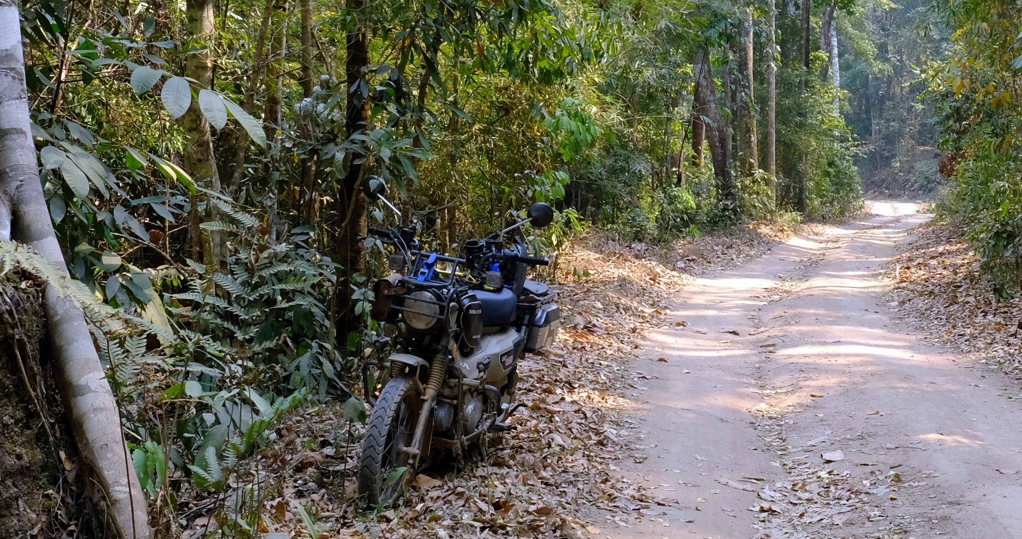 1-1-DSCF1503.JPG