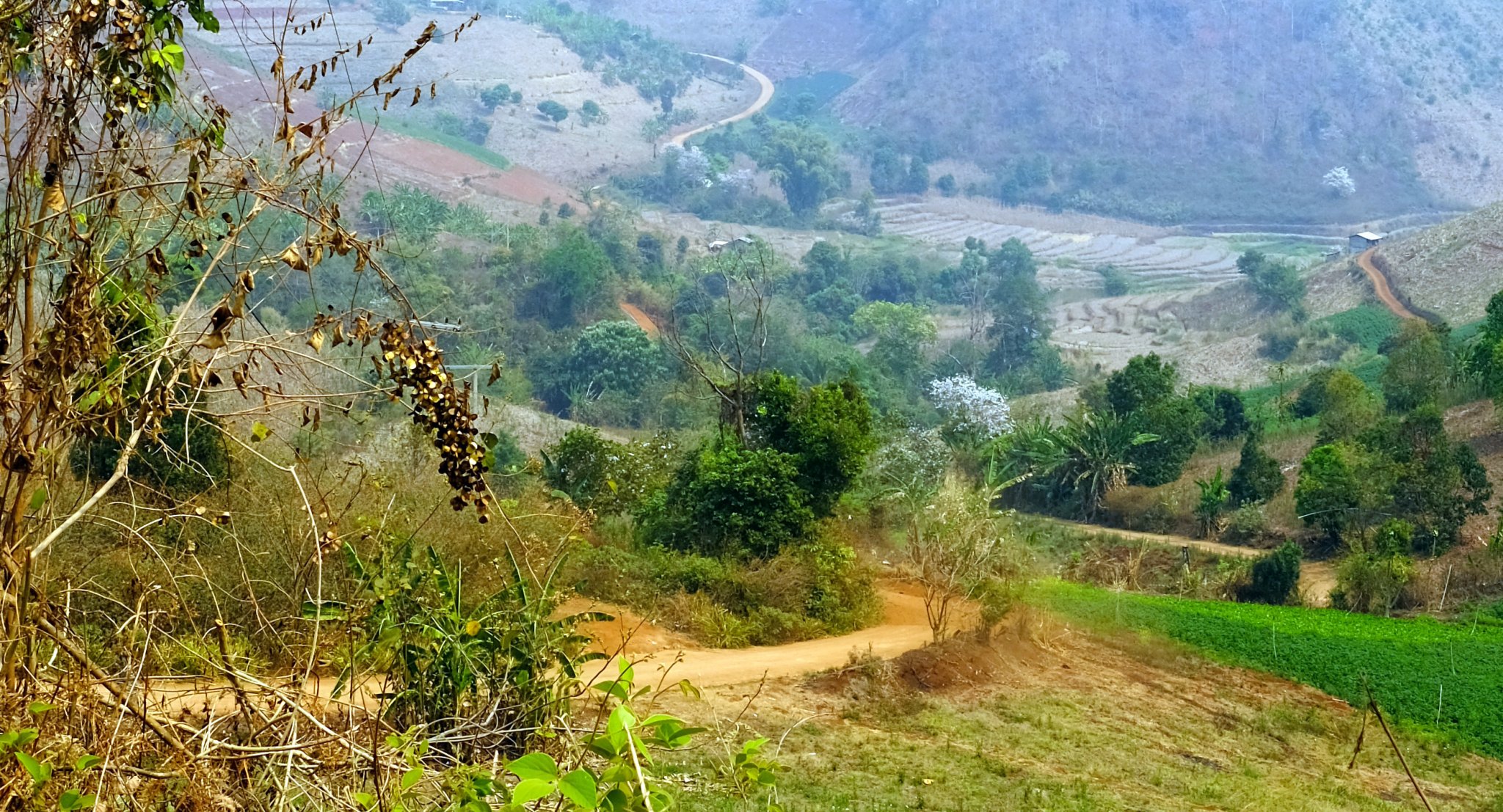 1-1-DSCF1517.JPG