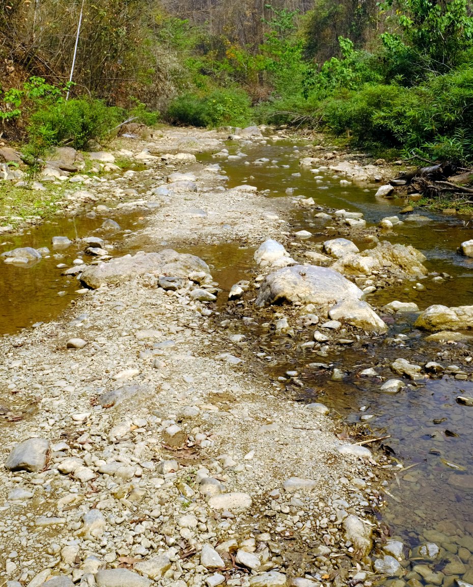 1-1-DSCF1561.JPG