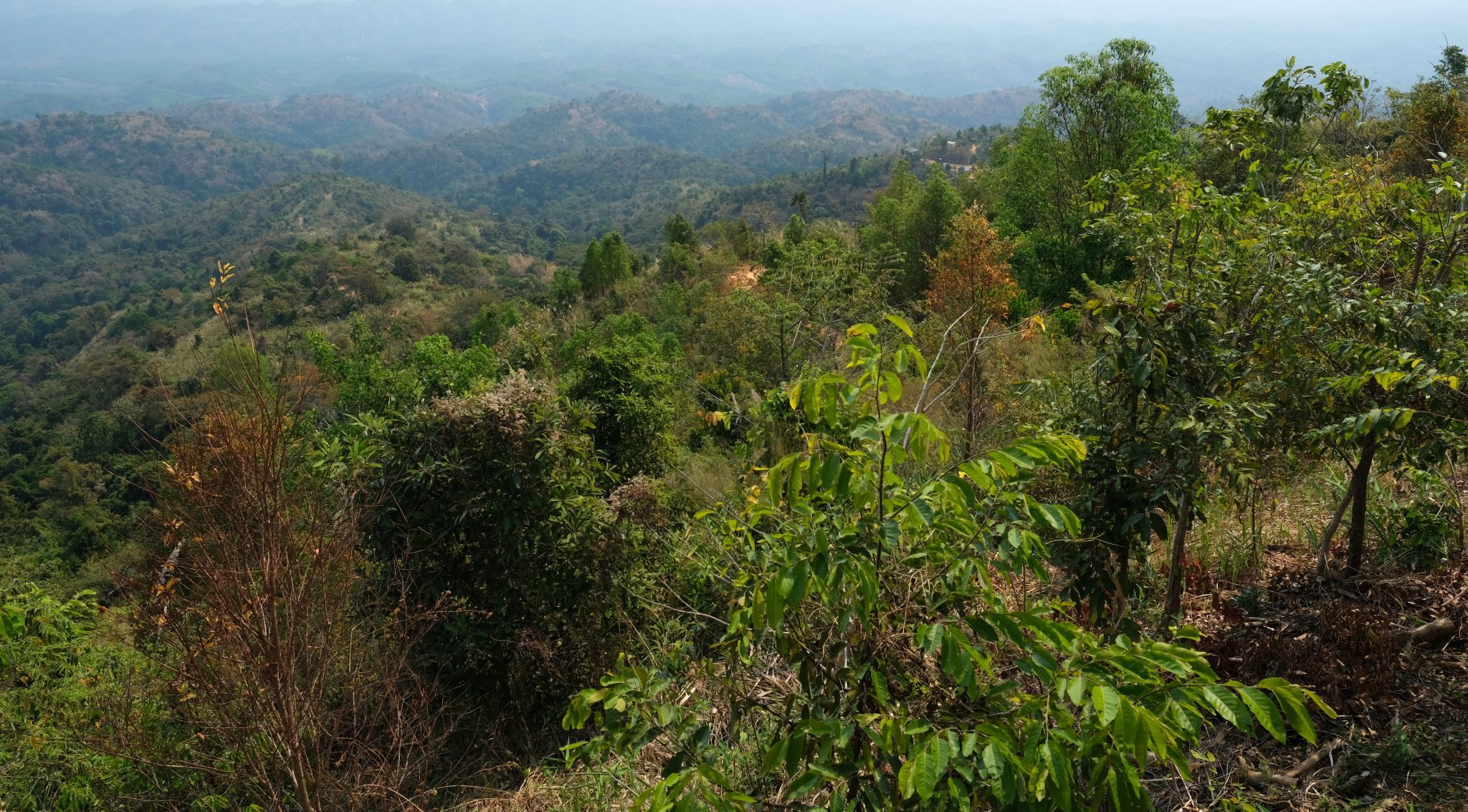 1-DSCF0813.JPG