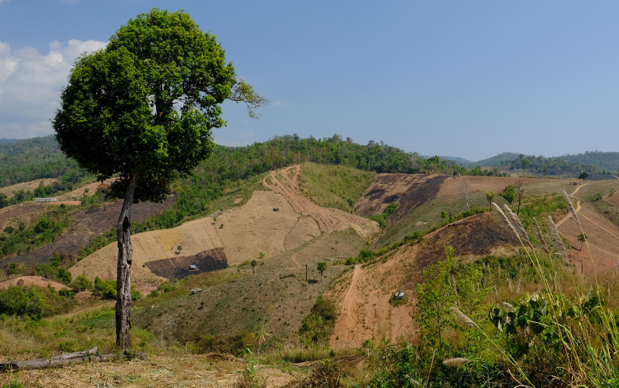 1-DSCF0914.JPG
