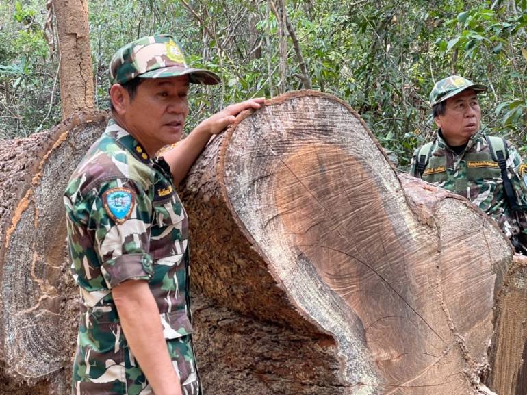 18-wood-logs.jpg