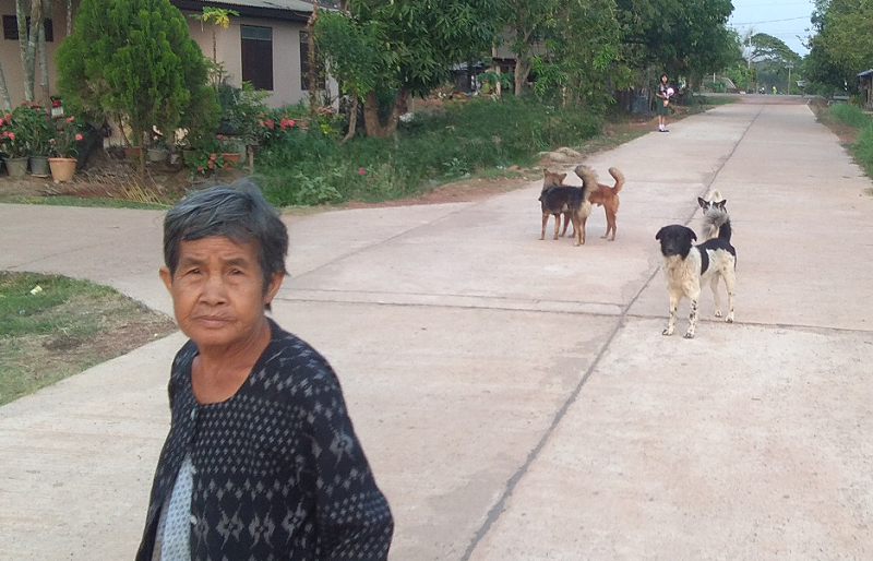 1895252086_villagescene07.png.80bdf26a60c90c3a626455febe74be1d.png