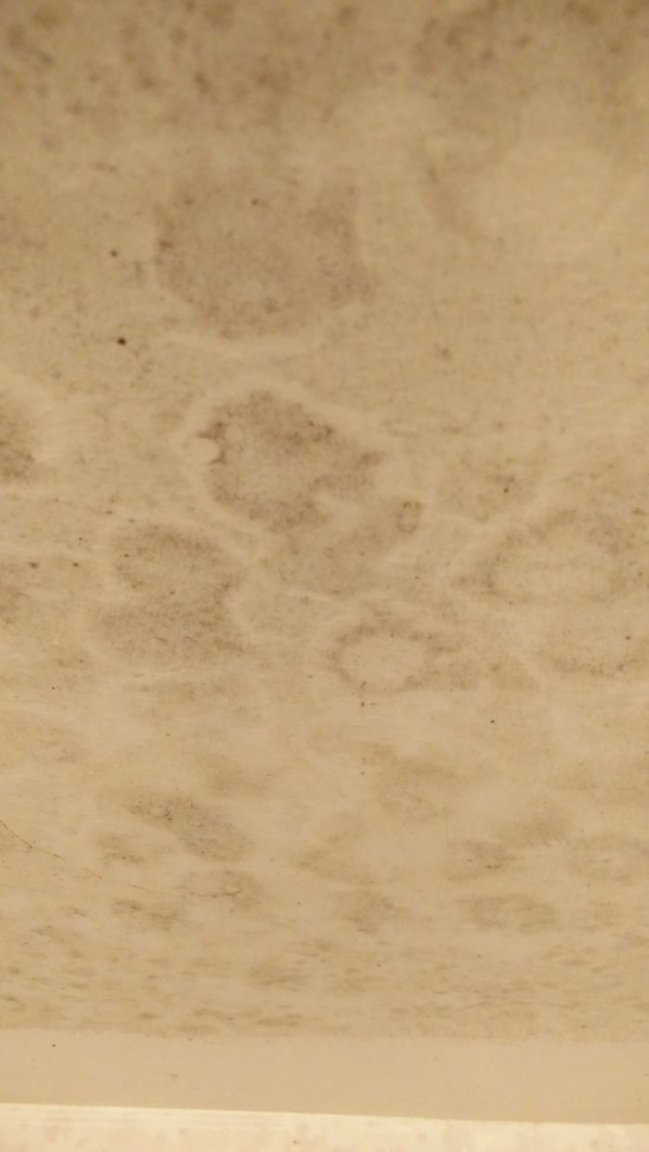 2.thumb.jpg.20b0ff48aea5015b799092ac455901aa.jpg