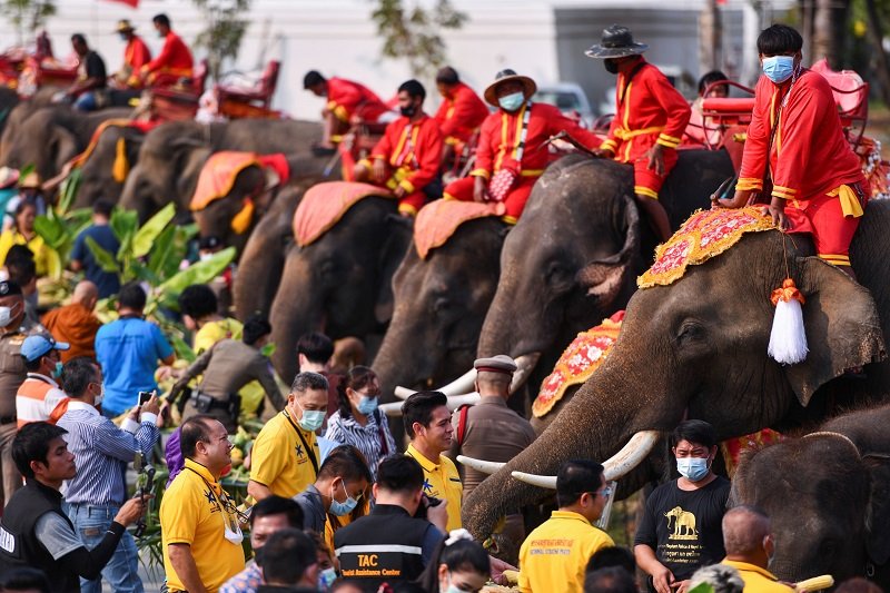 2021-03-13T092447Z_1_LYNXMPEH2C05P_RTROPTP_4_THAILAND-ELEPHANTS.JPG