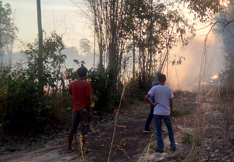 2045463659_fireonfarm04.png.7a8502d08c5273534b07a72c41aa5667.png