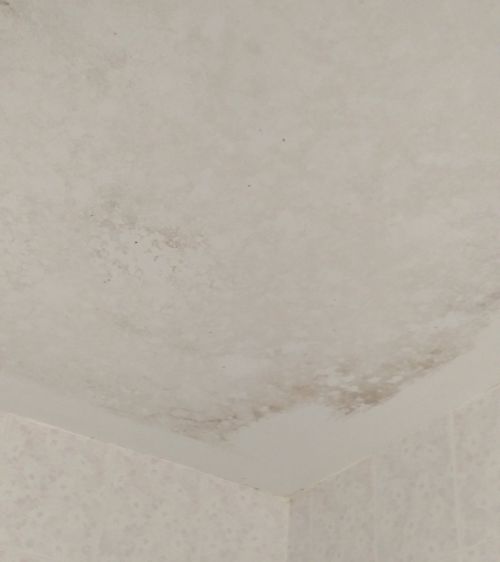 2141021131_BathroomCeiling500IMG_20210325_170653.jpg.3750a819b00ef744639dd9f24f54c88d.jpg