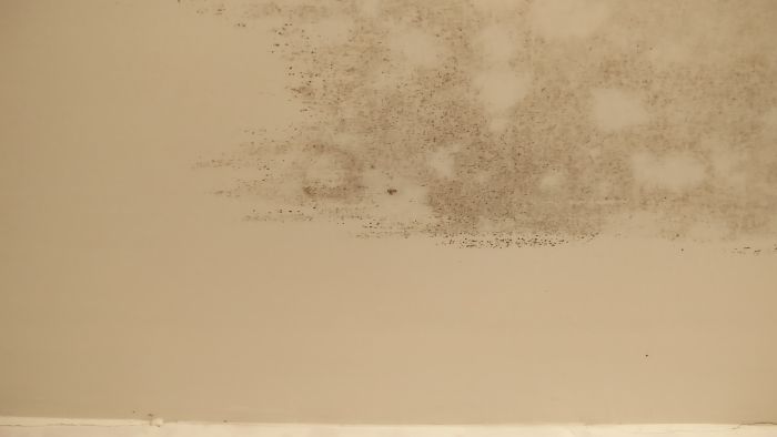 3.jpg.76a2b7d3ccb2e7bb97566ed87a6a2c6a.jpg