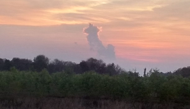 382038883_peelawclouddog01.png.22fef40cec57b343be33366eaebbef09.png
