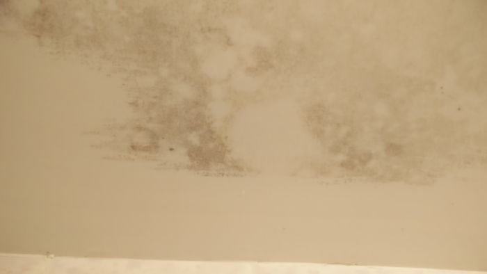 4.jpg.9a135791926413e5ac61d01e6256648d.jpg