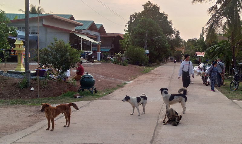 428384514_villagescene02.png.39b872c323394c6148d8892a98edb47f.png