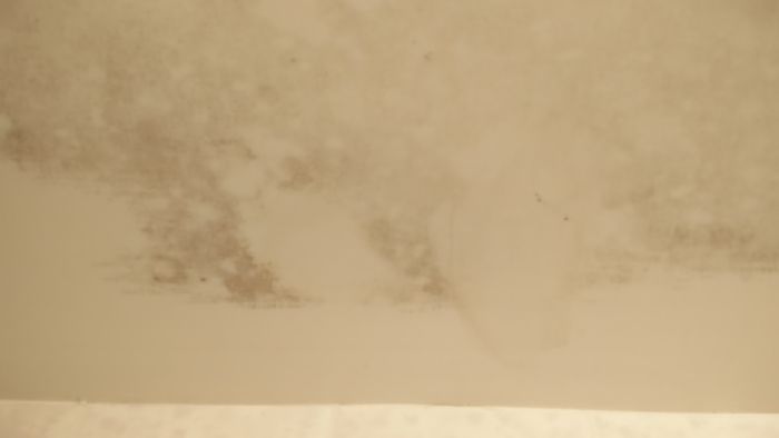 5.jpg.91a753c21130a4ad922f1d56be106d04.jpg