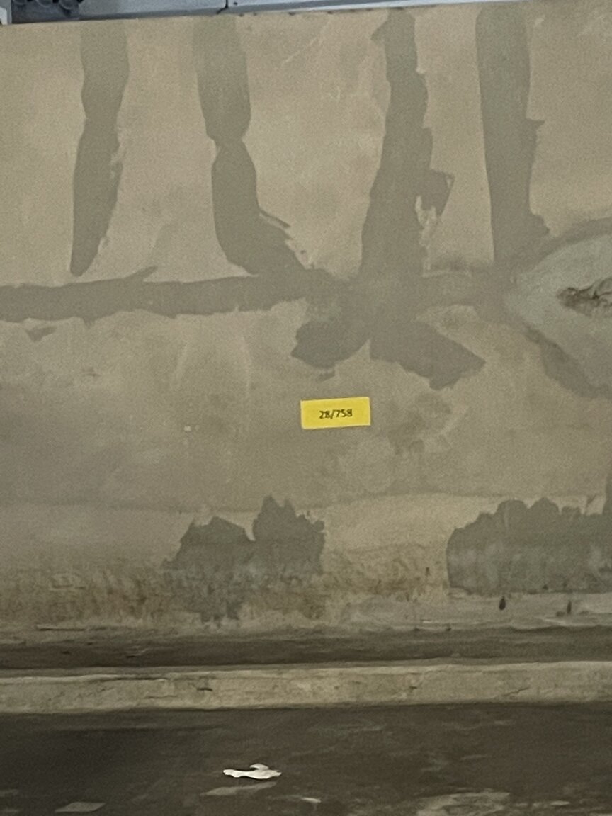 54184580-1607-4264-B10E-8CA9AB8CCA36.jpeg