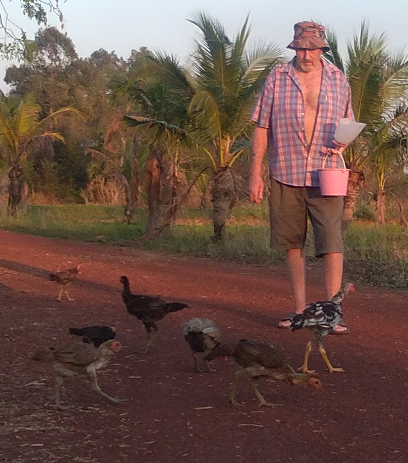 723316914_owlfeedchickens03.png.2913a5ae926d3e5ac43212e913b01e57.png