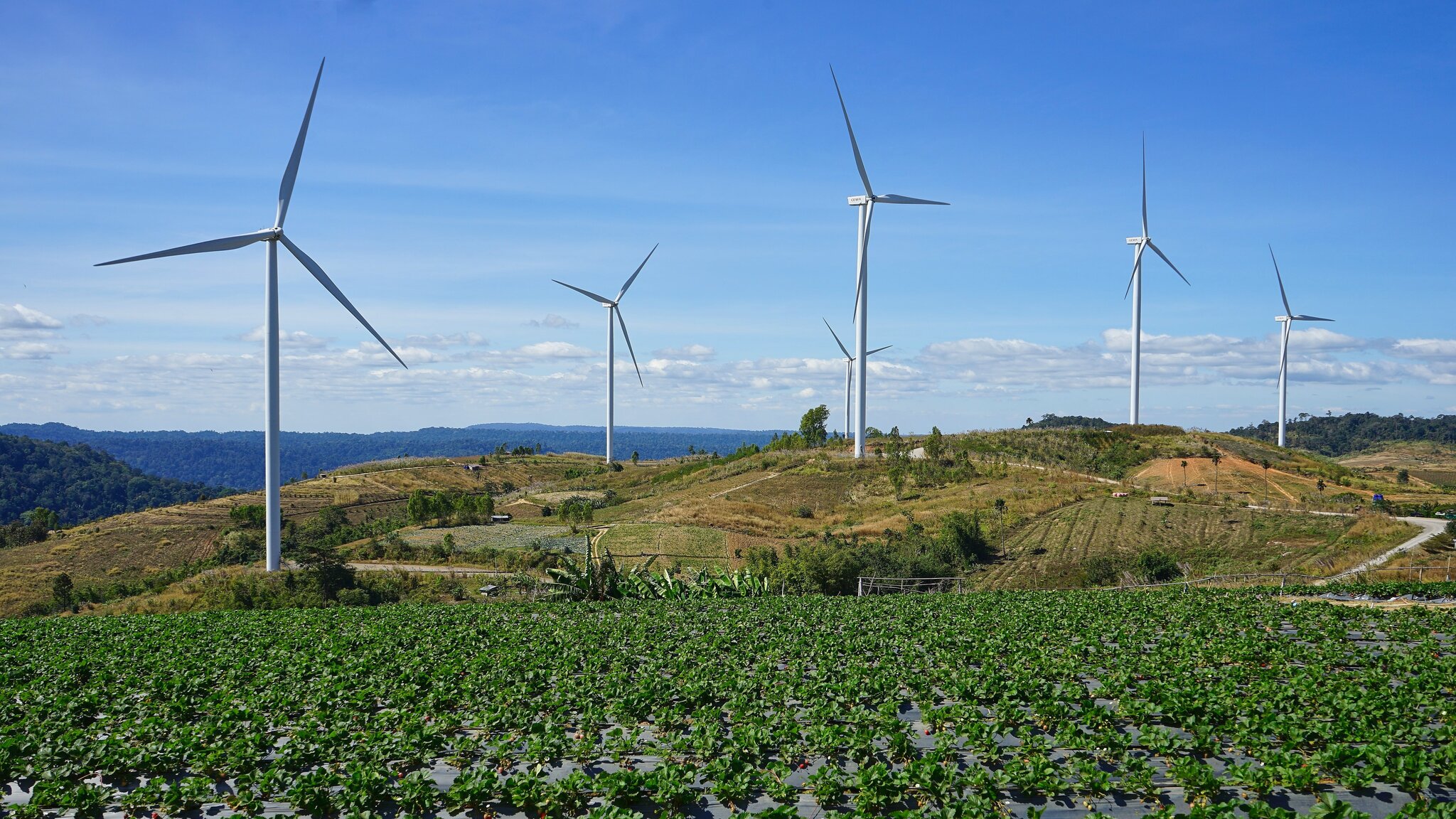 Windfarm, Khao Kor (2).jpg