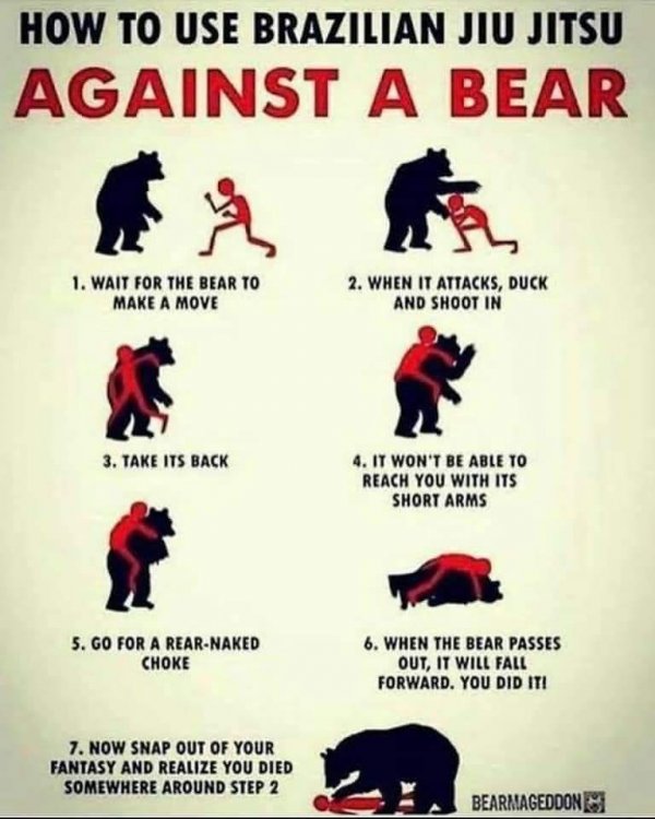Bear.jpg