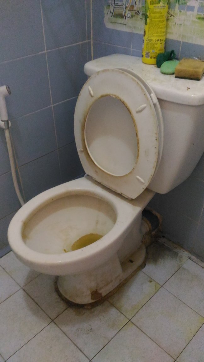 P_20210319_092018.thumb.jpg.31513065e0478351953efd1cec4f1134.jpg