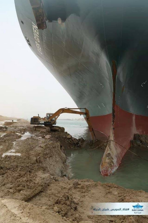 digging.jpg.fa9b72a090ecde2e019234c03c5cea71.jpg