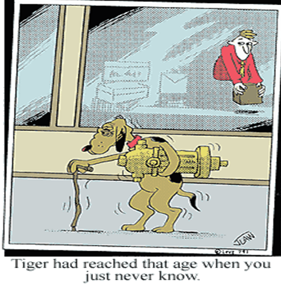 image.png.aa143770f0b6cf57fc7f5627939ed0f6.png