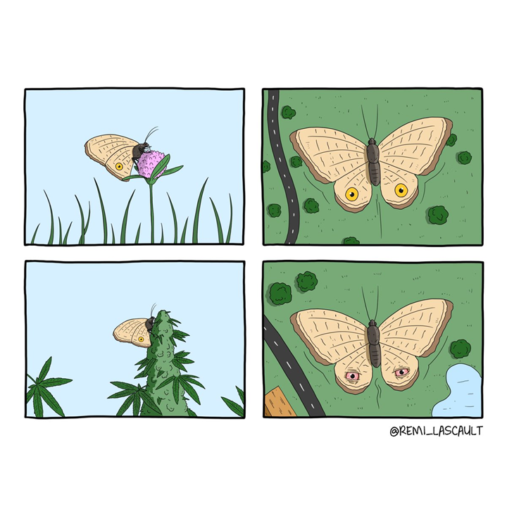 image.png.f6643694907423236768930d6bc2b85f.png