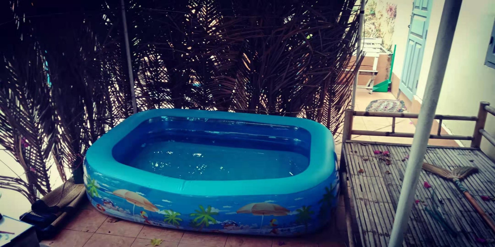 pool1.thumb.jpg.2c409d7b608ca8206f06c2edf92ba5b8.jpg
