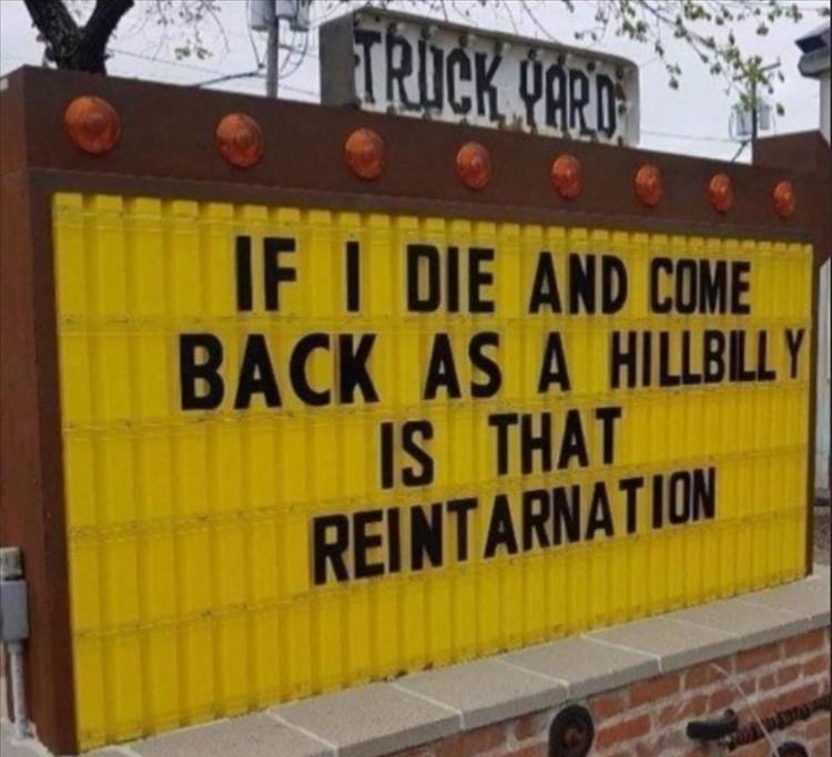 reintarnation.jpg.d977592e53490f012eb1d98cb0af295f.jpg