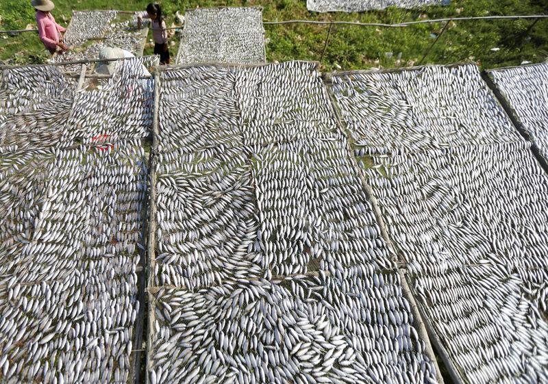 static.reuters_com.jpg.62418f87fe48da9b80997ee990fee604.jpg