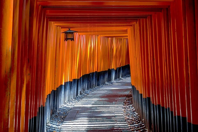 torii-1886975_1920-1170x785.jpg