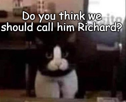 we-call-him-Richard.jpg.21554edef8c09288d7b8a07af31dcd06.jpg